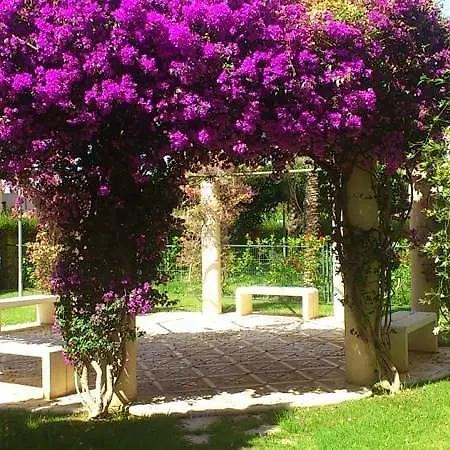 Oasis Pool Apartament *